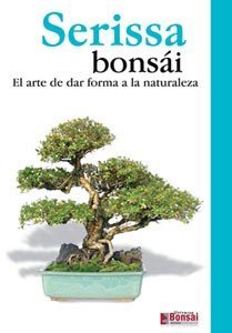 Guía bonsái Serissa