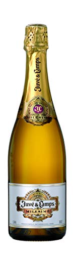 Juve y Camps Millesime 2016 - Vino 13.5°, 75cl