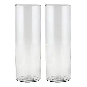 Homitize Decorative Glass Flower Vase/ Planter - Cylindrical Shape - Round, Clear, Transparent - 12 Inch Height/ 4 Inch Wide - for Home/ Office/ Wedding/ Meeting Room Decoration - Pack of 2