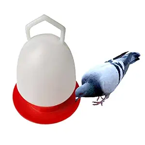 ANICHA ( Pack of 1 ) Pigeon Chicken Poultry Automatic Water Drinker 1 Liter for Pigeon Dove Chicken Cocktail Finch Other Birds | 18.5 cm x 24 cm (1)