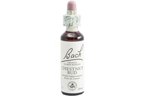 RESCUE BACH FLORES DE BACH CHESTNUT BUd 20ml - Frasco de cristal de 20 ml con gotero