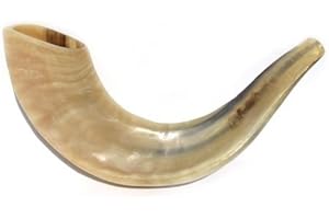 Rams HORN - Corno israeliano 25,40 x 33,02 cm