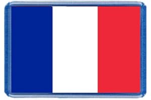 MILLHOUSE PRINTS French Flag Fridge Magnet - Large Size (7cm x 4.5cm) - Gift Idea - Tourism