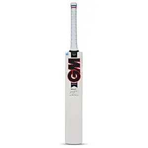 GM Mythos Bullet English Willow Cricket Bat for Men and Boys with Cloth Covering on The Face| Short Handle | Free Cover