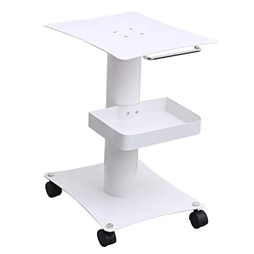 Preisvergleich Produktbild Medizinischer Wagen 2-Tier-Schönheitssalonwagen mit Schublade, weißer Rollwagen mit Handlauf und Rad, Kapazität 100 kg