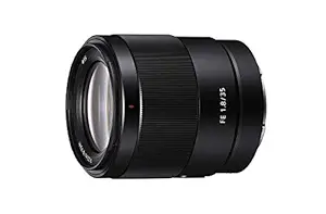 Sony SEL35F18F FE 35mm F1.8 Large-Aperture Wide-Angle Prime Lens