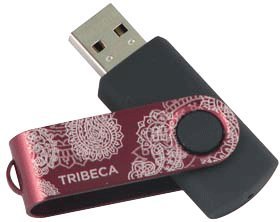 Preisvergleich Produktbild Schwenk Stil USB Drive 4 GB - Paisley - Cranberry