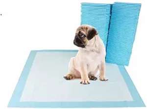 Taiyo Pluss Discovery? Puppy Pads ( Size : 60 X 90 cm ) - 40 Count, Dog and Puppy Potty Training Pads, Leak-proof 5-Layer Pee Pads with Quick Dry Surface for Potty Training, New & Improved Puppy Potty Training Pads That Absorb & Neutralise Urine Instantly, Suitable for - Small, medium and large sized dog breeds, ( 40 Count )