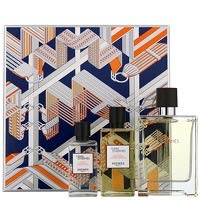 Preisvergleich Produktbild Hermes Terre D'Hermes Giftset 220 ml