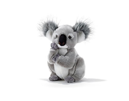 Plush & Company - 15747 - Peluche - Kolette Koala - 28 cm