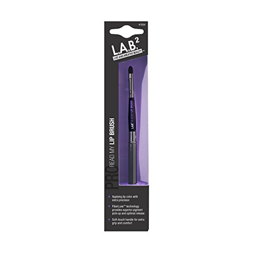 Lab 2 Brush, Read My Lip