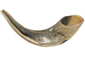 SHOFAROT ISRAEL Shofar Bec de bélier torsadé casher en corne de bélier polie naturelle polie Bec juif Yom Kippour fabriqué à la main