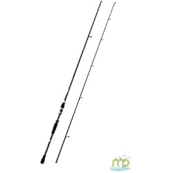 Bastón carborex 10 kilos Spinning, 20 gr 2,10 m