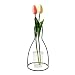 Produktbild fish Abstrakte Schwarze Linien Minimalist Eisen Vase Getrocknete Blumen Tabletop Töpfe Regal Home Office Dekoration