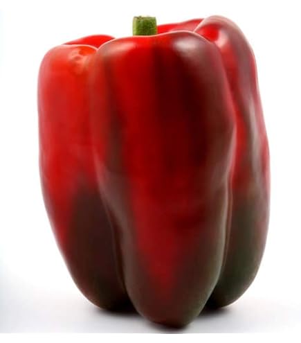 Semi Di Melanzana Bellezza Nera – 100 Semi, Frutti Grossi E Precoci, Buccia Violetto Brillante, Pochi Semi
