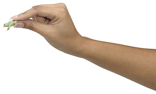 Imagen 4 de Toysmith 449747 3D Mirascope - Juego (efecto espejo holográfico)