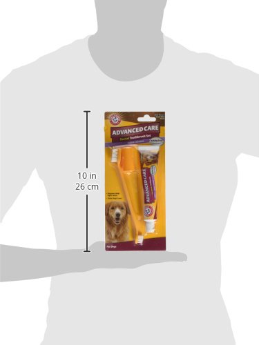Arm-Hammer-Advanced-Care-Tartar-Control-Beef-Flavoured-Toothpaste-and-Brush-Set