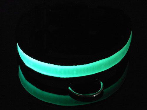 DOG-COLLAR-pet-LED-light-up-flashing-luminous-night-safety-coloured-bright-VARIOUS-COLOURS-AVAILBLE-UK-SELLER
