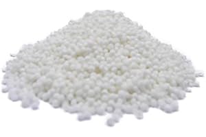 JALPUR Graines de sagou/sabudana - petite taille - 1,5 kg