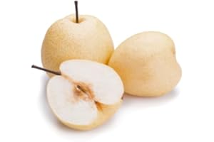 ‎QUAST MEERRETTICH Nashi Birne | Frische Nashi Birnen | Apfel-Birne (25 Stück)