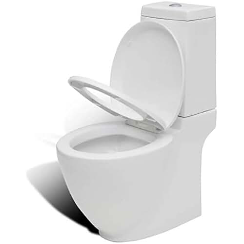 Amazon.es inodoro roca