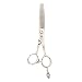 Segolike Professional Stainless Steel Barber Salon Hair Cutting Scissors Shears Hairdressing Set Stylist Tool 6 inch with Cutting Comb Finger Rest RS.1650.00