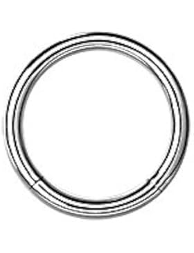 Karisma Titan G23 Segment Ring Piercing Septum Nasenpiercing Ohrpiercing Intim 1,2mm
