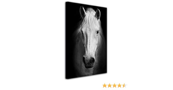 Impression Photo Animaux Sur Toile Decoration Murale Salon Declina Tableau Imprimee Chevaux Dans La Neige Deco Maison Bleu 50x30 Cm Cuisine Chambre Adulte Nexusfn Com Br