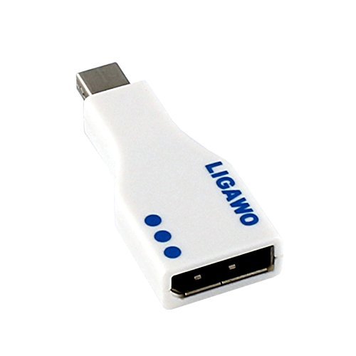 Ligawo Mini DisplayPort - DisplayPort - cable interface/gender adapters (mini-DisplayPort, DisplayPort, Male/Female, 5.4 cm, 2 cm, 9 mm)