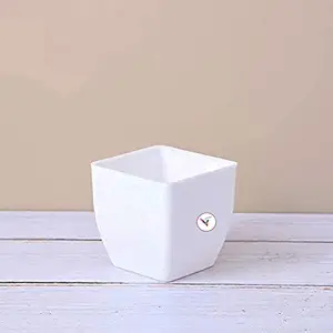 Vinshra Square Table Top Plastic Pot, White, 4 Inch, 4 Pieces