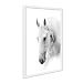 Produktbild Poster mit Bilderrahmen Weiss 'Pferdekopf' 30x40 cm schwarz-weiss Motiv Pferd Foto