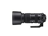 Produktlinie S - Sports Sigma 60-600mm F4,5-6,3 DG OS HSM Sports Objektiv (105mm Filtergewinde) für Canon Objektivbajonett
