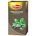 Produktbild Lipton Pfefferminze Tee 25 Aromaschutz Teebeutel