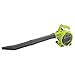 Produktbild Ryobi RBV26  Motor Laubgebläse mit Zubehör