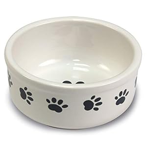 Arquivet Comedero Cerámica – 1 Unidad