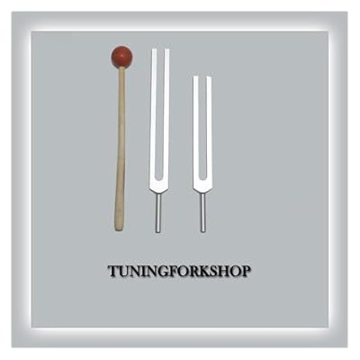 Tuningforkshop C & G Whole Body Tuning Fork Set with Mallet+Pouch+Fast