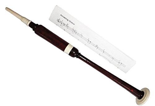 I Luv LTD Practice Chanter in Rosewood