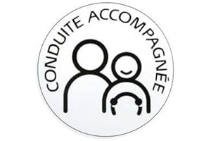 Disque électrostatique " Conduite Accompagnée "