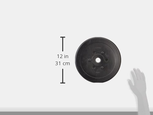 ScSPORTS 20 kg Hantelscheiben-Set Kunststoff 2 x 10 kg Gewichte 30/31 mm Bohrung - 2