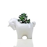 maceta decorada de unicornio Las cerámicas de alta calidad se utilizan para cocción a alta temperatura, los esmaltes creativos respetuosos con el medio ambiente se calcinan a alta temperatura, son seguros y no tóxicos.