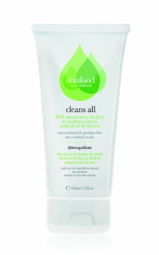 Skinfood Cleans All Cleanser 100mls