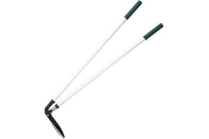 Spear & Jackson 4870KEW Tijeras para bordes Razorsharp de la colección de Kew Gardens