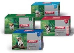 Advantix for dogs 4 – 10 kg 4 pipettes …
