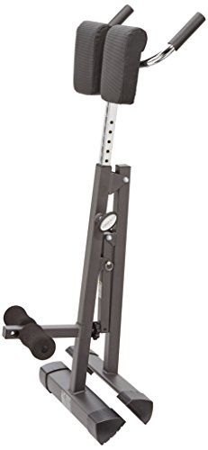 Finnlo Bauch/Rückentrainer Tricon - 4