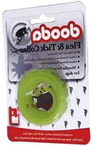 Kapoor pets? Dog Anti-tick Collar (Small, Green)