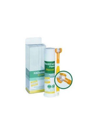 Stangest Kit Dental con Cepillo y Pasta - 100 gr