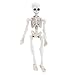 Produktbild Kofun beweglichen Mr. Bones Skelett Modell der menschliche Schädel mit Spielzeug, Mini, Motiv Halloween