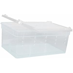 Generic Transparent Wasserreptil Zuchtbox Insektenbox für Reptilien - 19x12.5x7.5cm