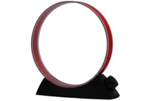 TECSUN AN-100 ANTENNA AM PER USO INTERNO