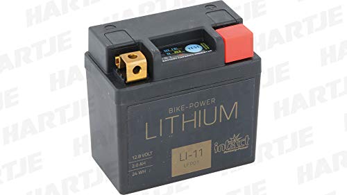 Preisvergleich Produktbild Intact Batterie LFP01 Lithium